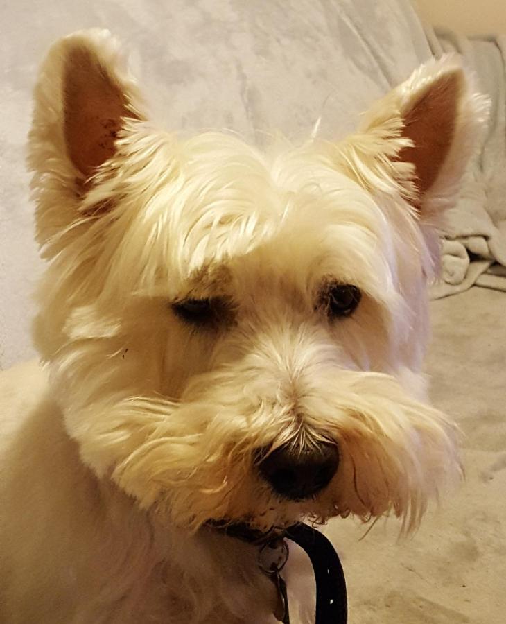 Tanleys B&B Grantown-on-Spey Bagian luar foto