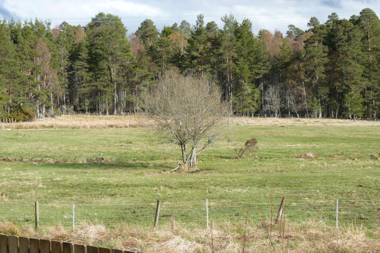 Tanleys B&B Grantown-on-Spey Bagian luar foto